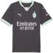 Puma AC Milan Third Jersey Replica T-Shirt - Volwassen - S - Grijs