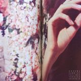 Konkurrent Grooms - Comb The Feelings Through Your Hair (CD)