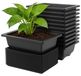 Omgoods - Set de 12 pots d'entraînement rectangulaires pour bonsaï avec plateaux