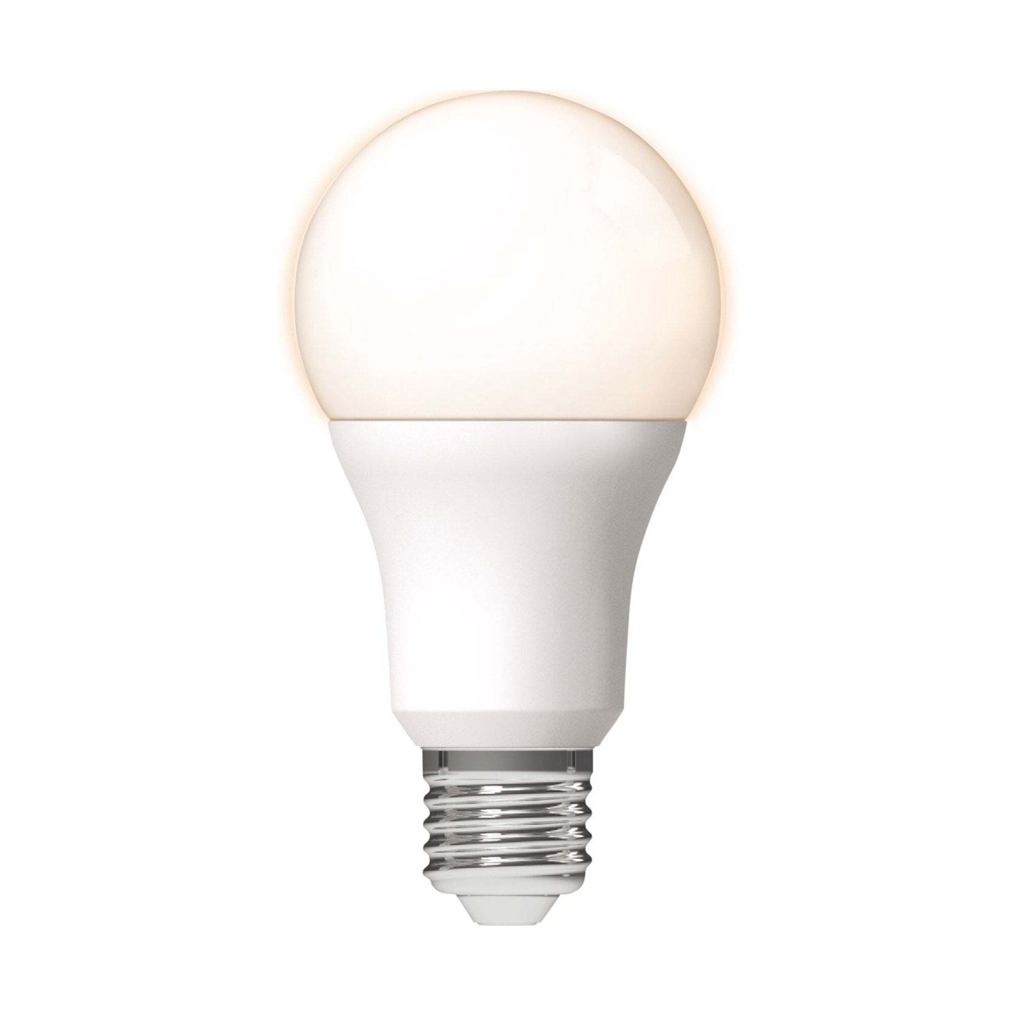 LED.nl LED Lamp E27 - Mat - Warm wit - 13W vervangt 100W