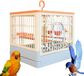 Merkloos / Sans marque Wan GmbH Vogelkooi met standaard - Vogelhuisje speelplaats - Vogels voeren - Afneembaar dienblad - 325 cm lang - Blauw