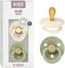 BIBS Colour