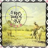 Bigger Robert Earl Keen, Jr. Bigger Piece of Sky