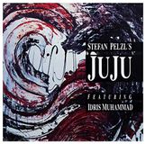 Stefan Pelzl's Juju