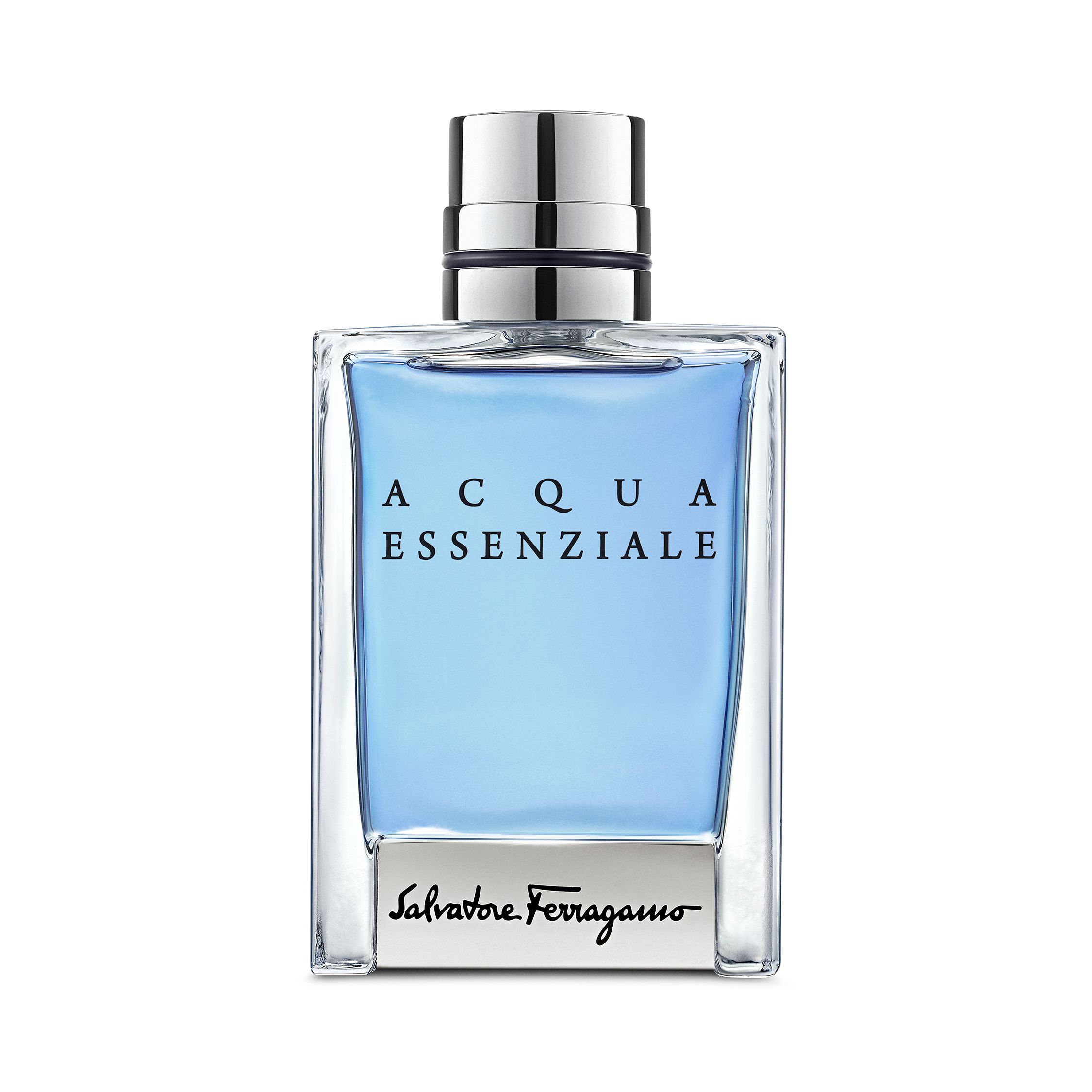 Salvatore Ferragamo Eau de Toilette / 50 ml / Heren