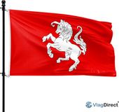 VlagDirect Twentse vlag 90 x 150 cm Polyester