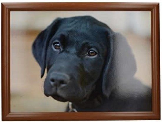 KitchenCraft Laptray Zwarte Labrador - Schootdienblad - Rechthoek - MDF - Anti-slip