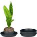 Juypal Platine - 2x - Noir - Plastique - Diamètre 30,5 cm