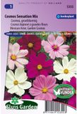 Sluis Garden Cosmos Sensation Mixed Flower Seeds