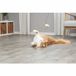 Trixie Kattenhengel - Pluche Ster Met Catnip - 46 cm