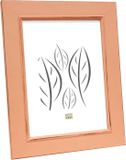 Deknudt Frames Fotolijst S46FF9 - Roze Geschilderd - Hout - 40x60 cm