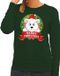 Bellatio Decorations Shoppartners Bv Foute kersttrui / sweater ijsbeer - groen - Merry Christmas voor dames L
