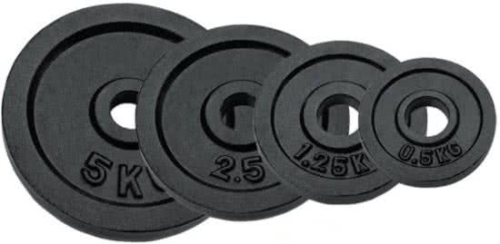 RS Sports Halterschijven - Gietijzer - 1 x 5 0 kg - Ã˜ 30 mm