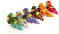 Artemio Vogels (6) - decoratie 2
