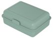 Icecat Lunchbox "School-Box" groot - Boîte à lunch durable en canne à sucre - Boîte à pain idéale pour enfants et adultes - vert menthe