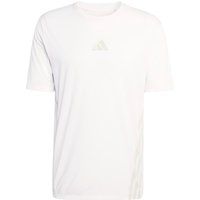 adidas Terrex XPR Hardloopshirt Heren-wit, Maat L