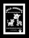 High Bbay Book High Contrast Wild Animals: Black and White Visual Stimulation for Newborns and Infants