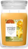 Yankee Candle Starfruit & Sunshine Grand pot Bougie parfumée