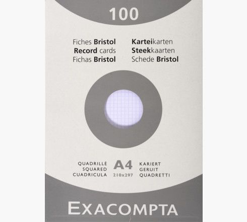 Exacompta Systeemkaart 210 x 297 mm Geruit Wit