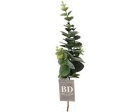 Bellatio Design Kunstbloem/kunsttak Eucalyptus Bella - 38 cm - donkergroen