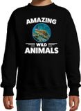Bellatio Decorations Amazing Wild Animals Sweater schildpad - zwart - kinderen - cadeau trui schildpad / schildpadden liefhebber 98/104