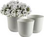 PlasticForte Plantenpot - ivoor wit - D32,3xH30,5 cm - rotan kunststof - bloempot