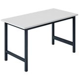 Sofame Icecat Werkbank tafel Basic