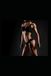 Muscle Icecat Muscle Definition and Certain Parts: The Female Form Frozen and Adventures in AI Usage.