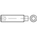 TOOLCRAFT TO-5415015 Draadpen M12 55 mm Staal Galvanisch verzinkt 100 stuk(s)