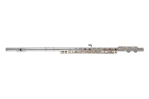 Roy PURE GEWA Roy Benson Dwarsfluit FL-402R2