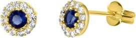 Lucardi Dames Oorbellen wit&blauwe zirkonia - Oorbellen - Cadeau - 14 Karaat Goud - Geelgoud