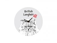 Art-Dog British Longhair clock with a horse photo
