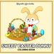 Sweet Easter Bunny: A Cute Easter Coloring Book with 30 Adorable Bunny Pages, Chocolate Treats and Easter Eggs