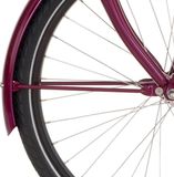 Cortina Spatbordstang voor 26 Inch Stadsfiets Unisex Carmenviolet