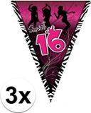 Merkloos / Sans marque Espa Nv 3x Sweet 16 Vlaggenlijn / Slinger 5 Meter Multi Kleur Kunststof