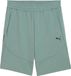 Puma Pumatech Shorts 9" DK Groen Heren L
