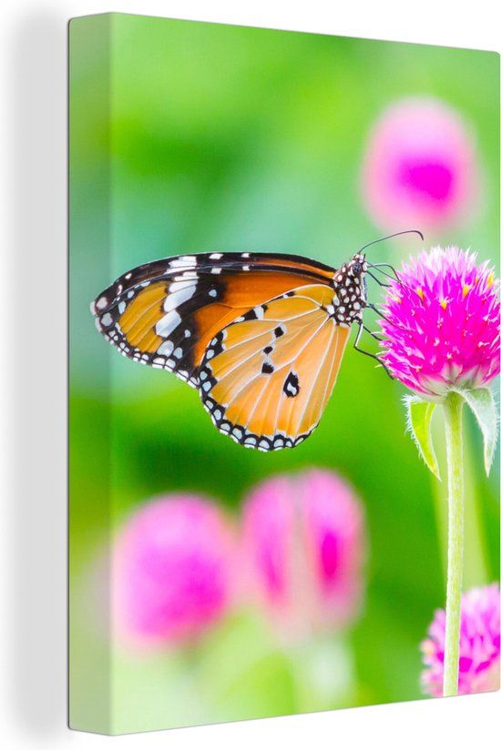 OneMillionCanvasses Canvas Schilderij - Vlinder - Roze - 120x160 cm