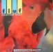 Wasting Fluf - Wasting Seed (10" LP)