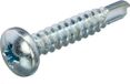 Hoenderdaal Fasteners Hoenderdaal Zelfborende Plaatschroeven - Phillips 2 Bolkop - 4,8 x 19mm - Voldraad - Verzinkt (200 stuks)