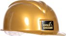 Wilbers & Wilbers Bouwhelm Golddigger - Verstelbaar - Volwassenen - Goud