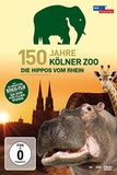 150 MORE Music und Media GmbH & Co. KG 150 Jahre Kölner Zoo - Die Hippos vom Rhein