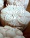 Vonda's Soaps N Such: The Complete Soap Makers Guide