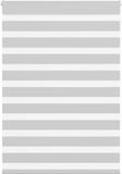 vidaXL Zebra rolgordijn 100x150 cm stofbreedte 95,9 cm lichtgrijs
