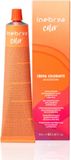 Inebrya Color Ash Hair Colouring Cream 10/1 Platinum Blond 100ml