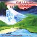 We Gallows Pole We Wanna Come Home CD