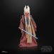 Star Wars Hasbro Star Wars Episode II Black Series Action Figure Shaak Ti 15 cm
