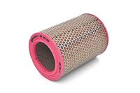 BOSCH Luftfilter 1457433625