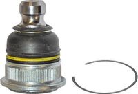 SKF VKDS 316000