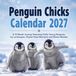 Penguin Chicks 2027 Calendar