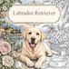 Labrador Retriever – Entspannendes Malbuch